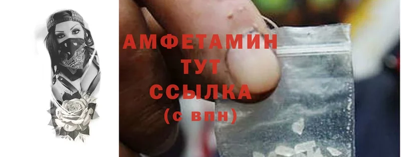 Amphetamine VHQ  omg ссылка  Елизово  купить наркотик 