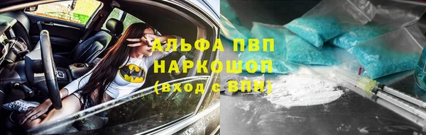 тгк Володарск