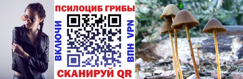 Псилоцибиновые грибы Magic Shrooms  Елизово 