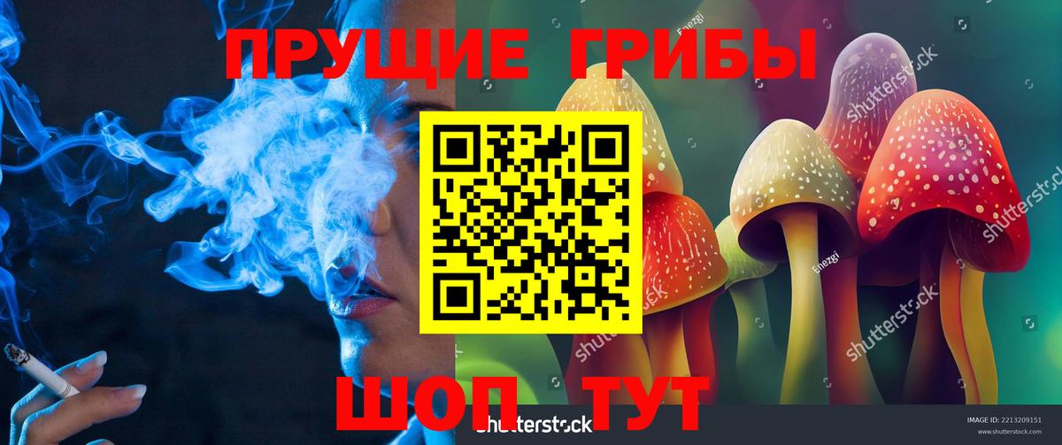 Псилоцибиновые грибы Psilocybine cubensis Елизово
